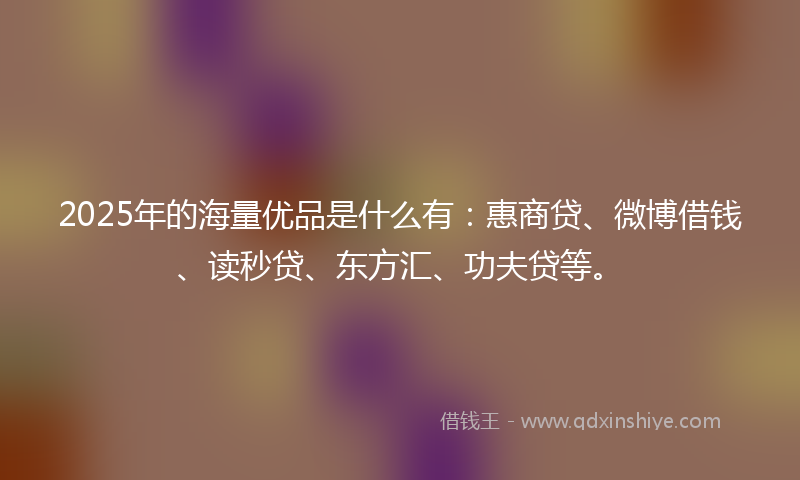 2025年的海量优品是什么有：惠商贷、微博借钱、读秒贷、东方汇、功夫贷等。