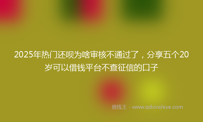 2025年热门还呗为啥审核不通过了，分享五个20岁可以借钱平台不查征信的口子