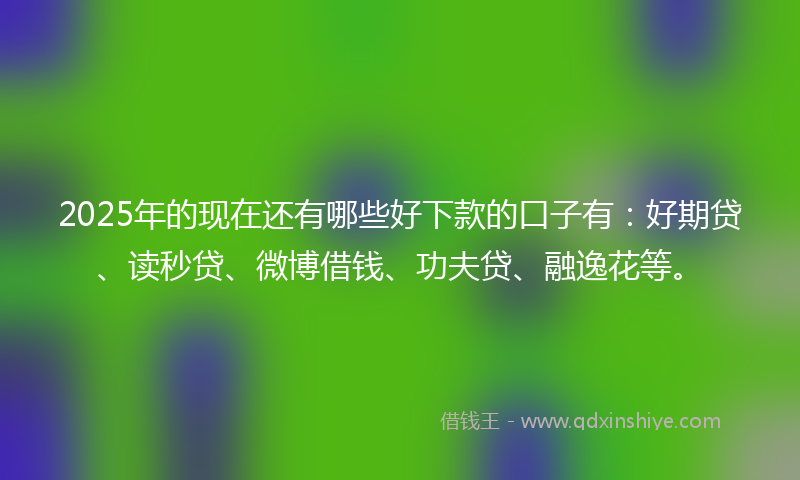 2025年的现在还有哪些好下款的口子有：好期贷、读秒贷、微博借钱、功夫贷、融逸花等。