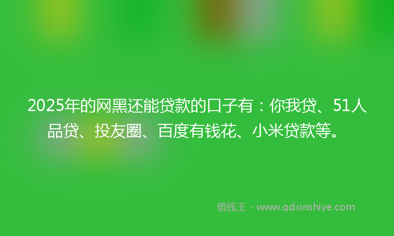 2025年的网黑还能贷款的口子有：你我贷、51人品贷、投友圈、百度有钱花、小米贷款等。