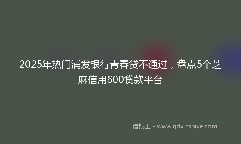 2025年热门浦发银行青春贷不通过，盘点5个芝麻信用600贷款平台