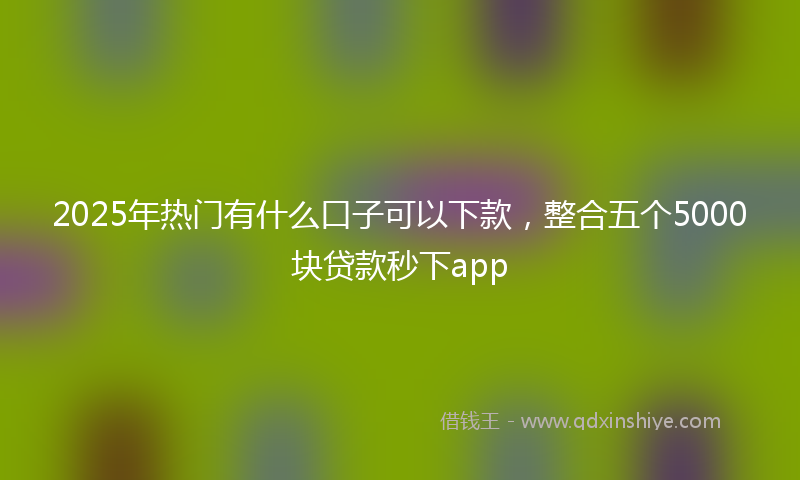 2025年热门有什么口子可以下款，整合五个5000块贷款秒下app