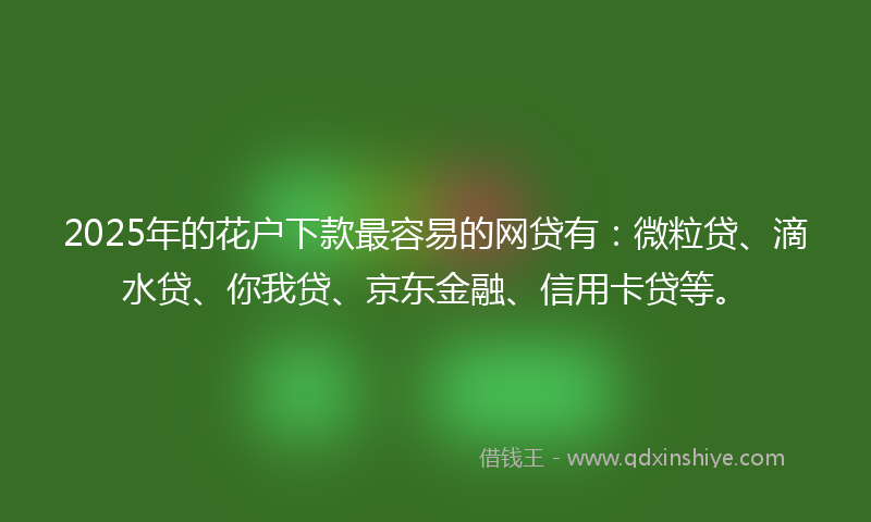 2025年的花户下款最容易的网贷有：微粒贷、滴水贷、你我贷、京东金融、信用卡贷等。