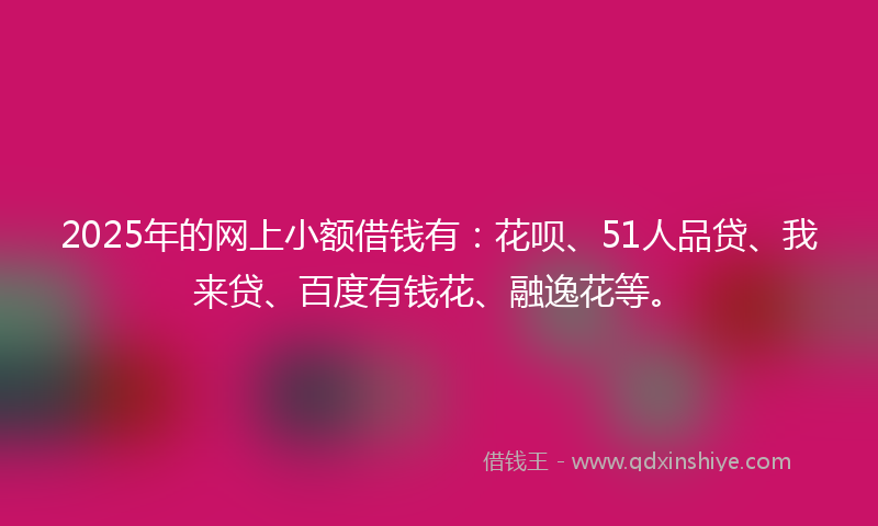 2025年的网上小额借钱有：花呗、51人品贷、我来贷、百度有钱花、融逸花等。