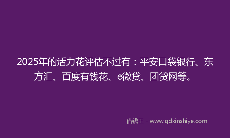 2025年的活力花评估不过有：平安口袋银行、东方汇、百度有钱花、e微贷、团贷网等。