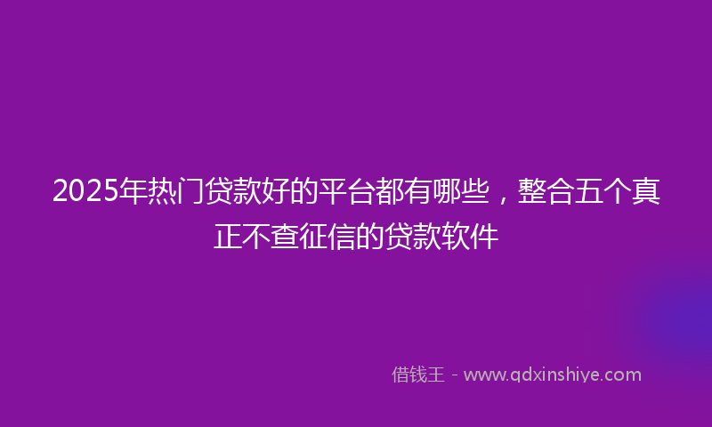 2025年热门贷款好的平台都有哪些，整合五个真正不查征信的贷款软件