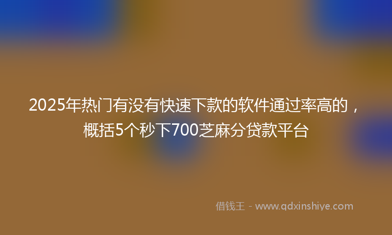 2025年热门有没有快速下款的软件通过率高的，概括5个秒下700芝麻分贷款平台