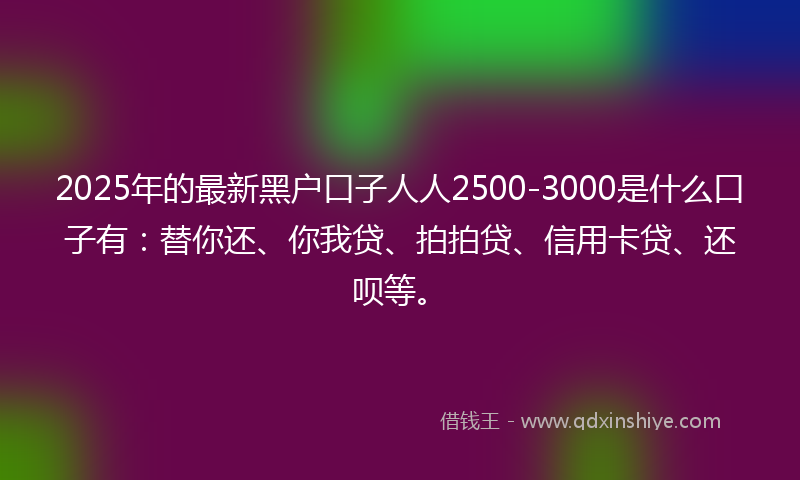 2025年的最新黑户口子人人2500-3000是什么口子有：替你还、你我贷、拍拍贷、信用卡贷、还呗等。