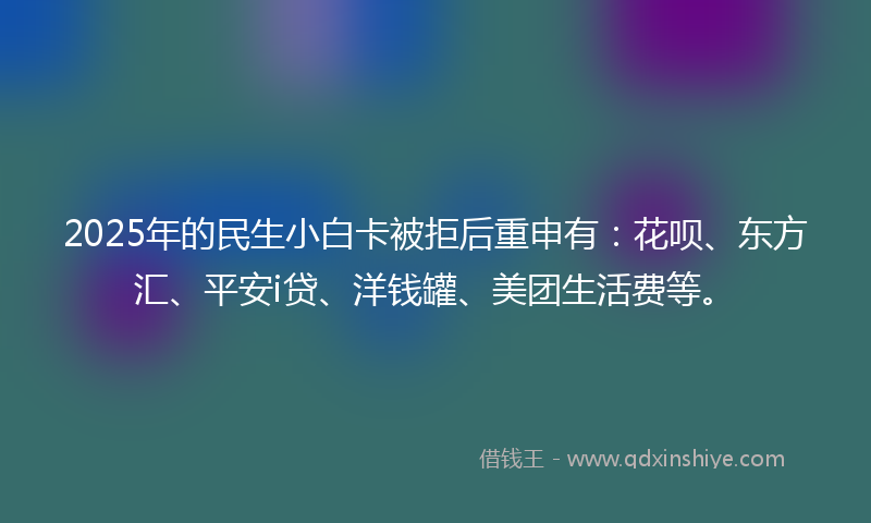 2025年的民生小白卡被拒后重申有：花呗、东方汇、平安i贷、洋钱罐、美团生活费等。