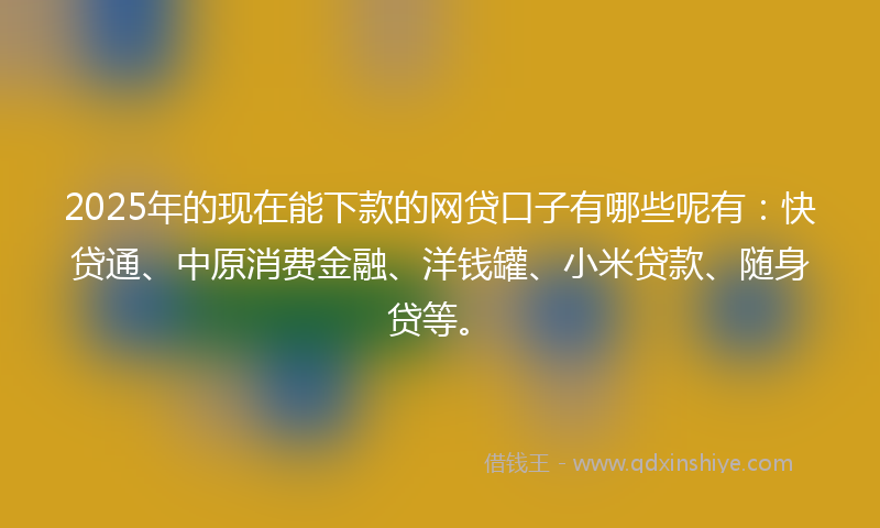 2025年的现在能下款的网贷口子有哪些呢有：快贷通、中原消费金融、洋钱罐、小米贷款、随身贷等。