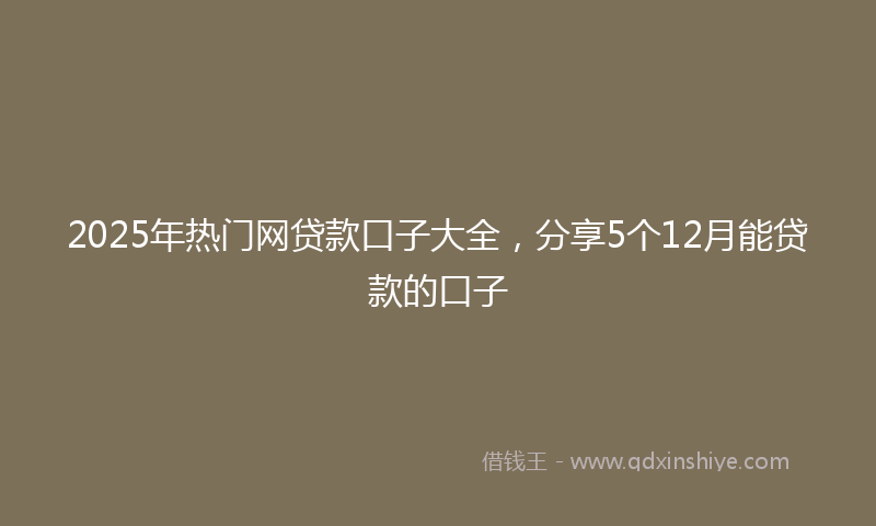 2025年热门网贷款口子大全，分享5个12月能贷款的口子