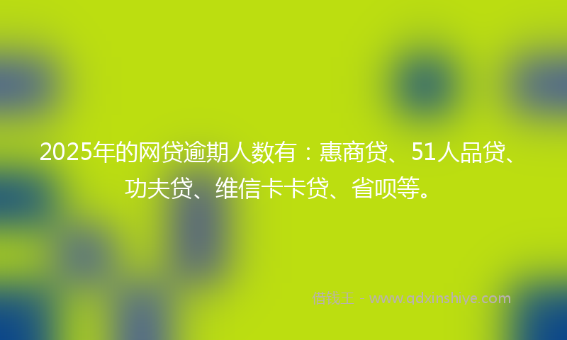 2025年的网贷逾期人数有：惠商贷、51人品贷、功夫贷、维信卡卡贷、省呗等。