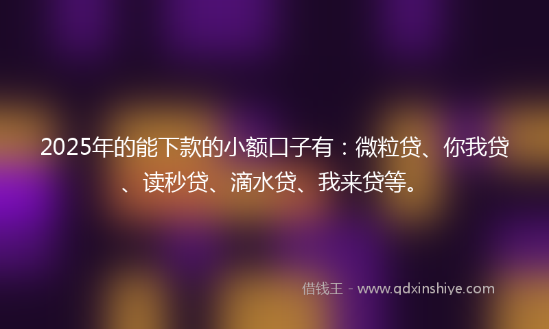 2025年的能下款的小额口子有：微粒贷、你我贷、读秒贷、滴水贷、我来贷等。