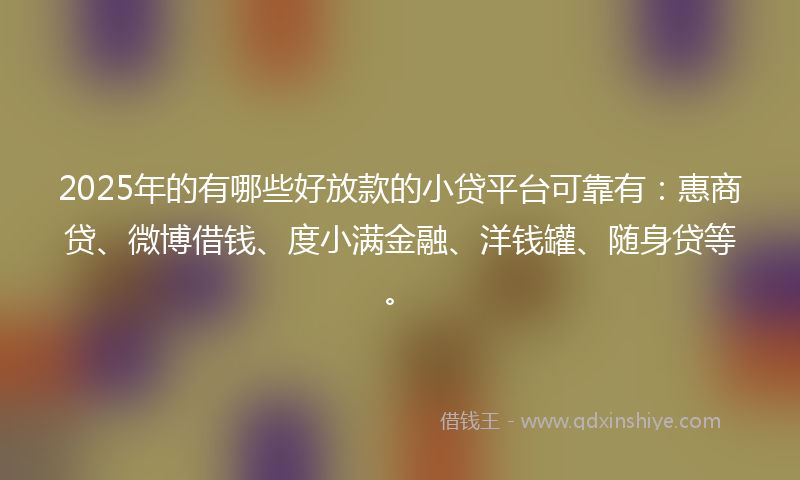 2025年的有哪些好放款的小贷平台可靠有：惠商贷、微博借钱、度小满金融、洋钱罐、随身贷等。