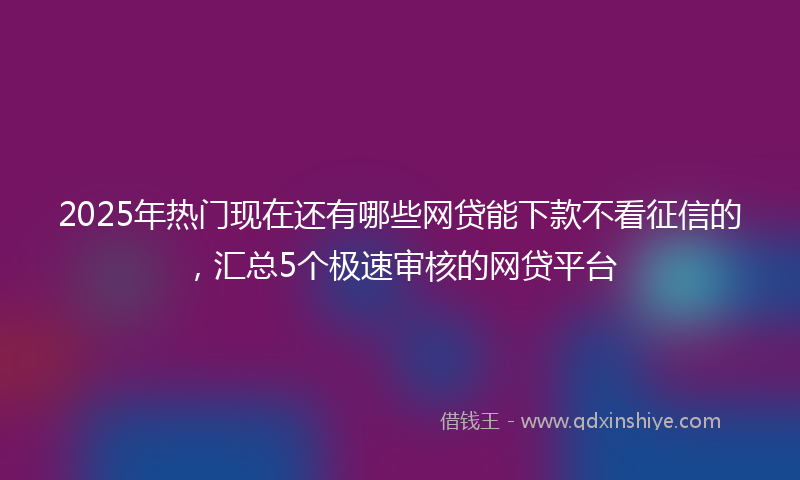 2025年热门现在还有哪些网贷能下款不看征信的，汇总5个极速审核的网贷平台