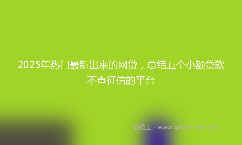 2025年热门最新出来的网贷，总结五个小额贷款不查征信的平台