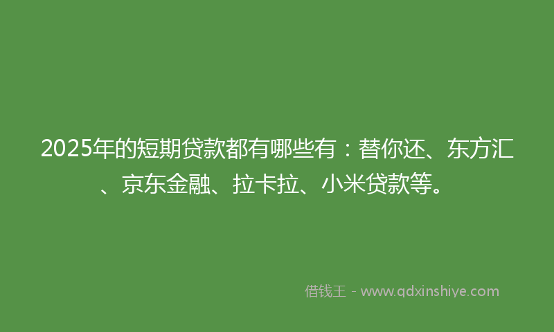 2025年的短期贷款都有哪些有：替你还、东方汇、京东金融、拉卡拉、小米贷款等。