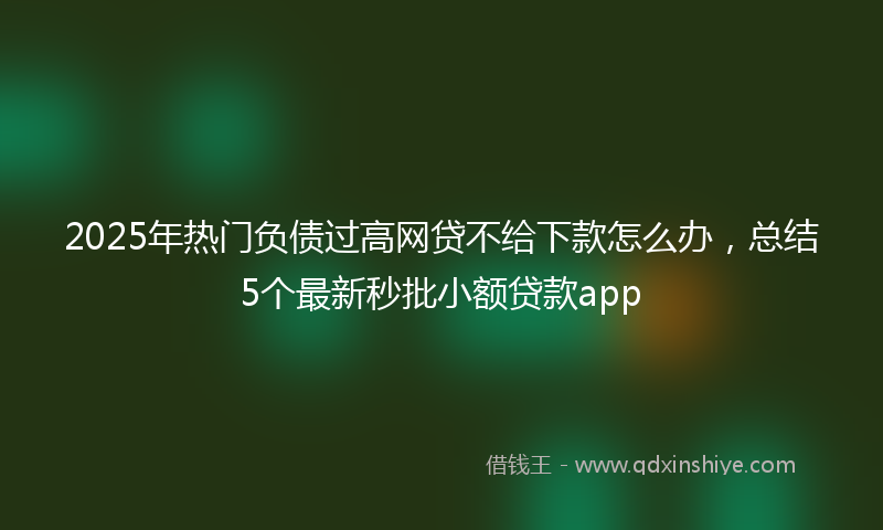 2025年热门负债过高网贷不给下款怎么办，总结5个最新秒批小额贷款app