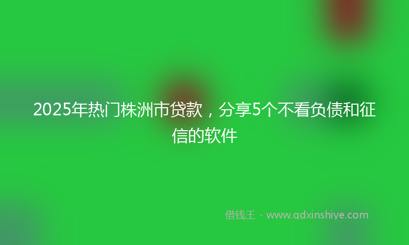 2025年热门株洲市贷款，分享5个不看负债和征信的软件