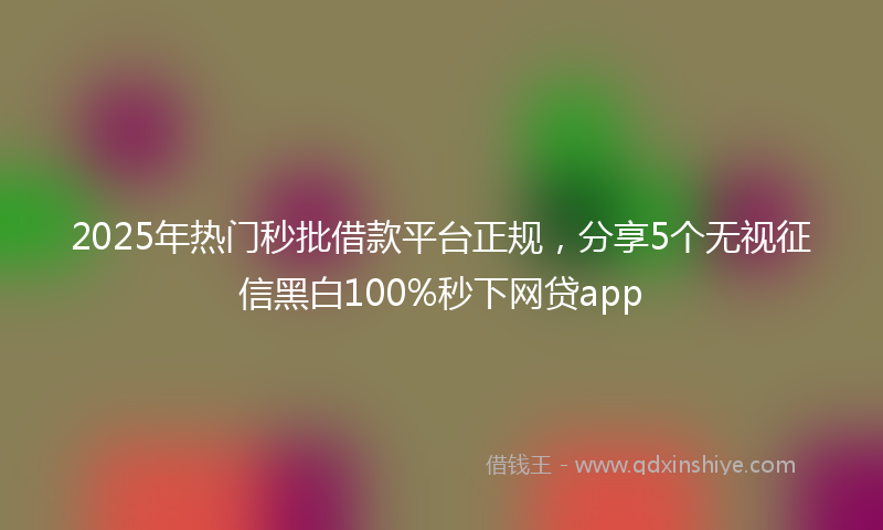 2025年热门秒批借款平台正规，分享5个无视征信黑白100%秒下网贷app