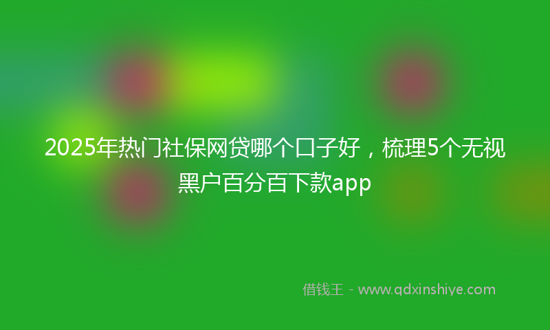 2025年热门社保网贷哪个口子好，梳理5个无视黑户百分百下款app