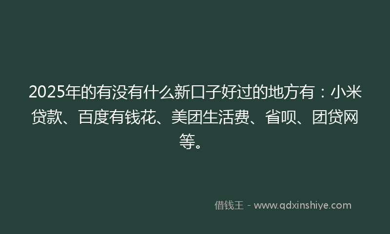 2025年的有没有什么新口子好过的地方有：小米贷款、百度有钱花、美团生活费、省呗、团贷网等。