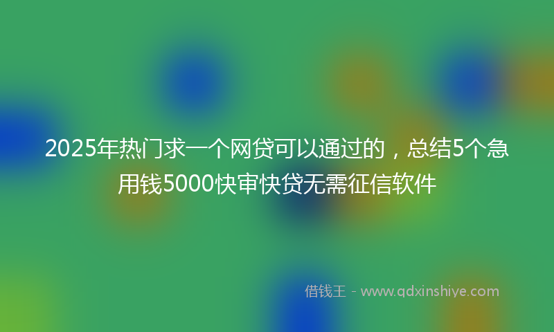 2025年热门求一个网贷可以通过的，总结5个急用钱5000快审快贷无需征信软件