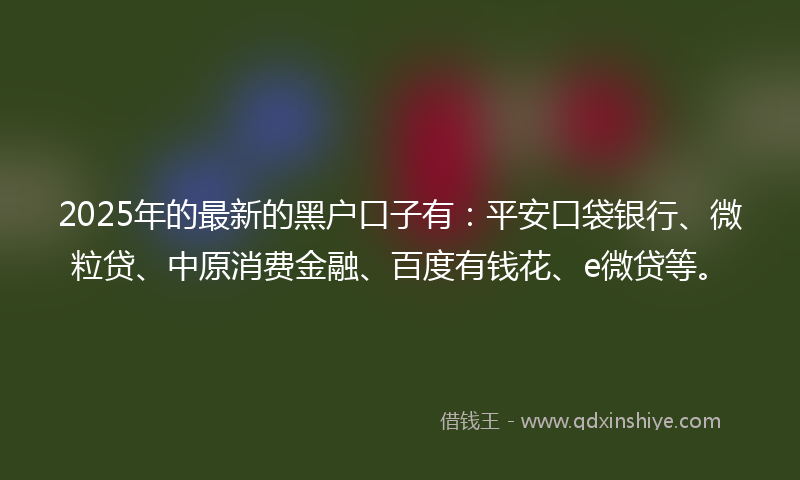 2025年的最新的黑户口子有：平安口袋银行、微粒贷、中原消费金融、百度有钱花、e微贷等。
