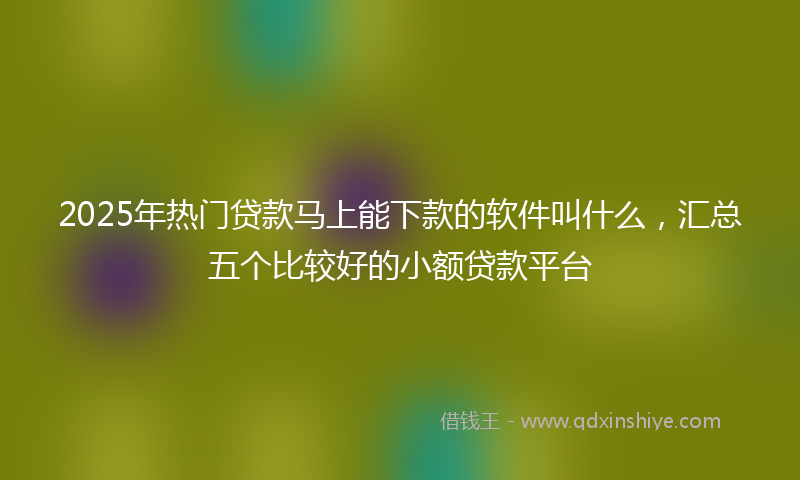2025年热门贷款马上能下款的软件叫什么，汇总五个比较好的小额贷款平台