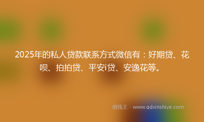 2025年的私人贷款联系方式微信有：好期贷、花呗、拍拍贷、平安i贷、安逸花等。