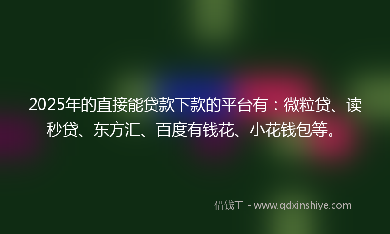 2025年的直接能贷款下款的平台有：微粒贷、读秒贷、东方汇、百度有钱花、小花钱包等。