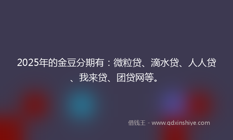 2025年的金豆分期有：微粒贷、滴水贷、人人贷、我来贷、团贷网等。