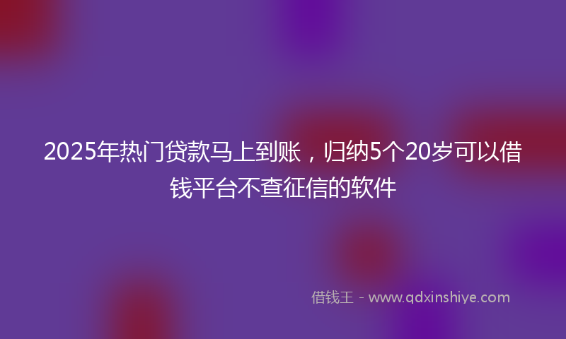 2025年热门贷款马上到账，归纳5个20岁可以借钱平台不查征信的软件