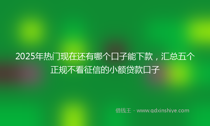 2025年热门现在还有哪个口子能下款，汇总五个正规不看征信的小额贷款口子