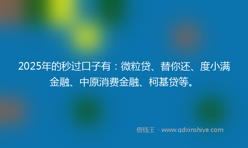 2025年的秒过口子有：微粒贷、替你还、度小满金融、中原消费金融、柯基贷等。