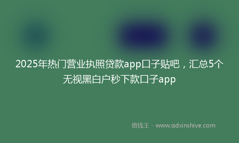 2025年热门营业执照贷款app口子贴吧，汇总5个无视黑白户秒下款口子app