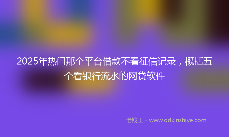 2025年热门那个平台借款不看征信记录，概括五个看银行流水的网贷软件