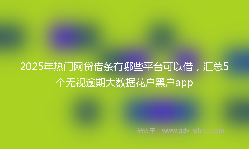 2025年热门网贷借条有哪些平台可以借，汇总5个无视逾期大数据花户黑户app