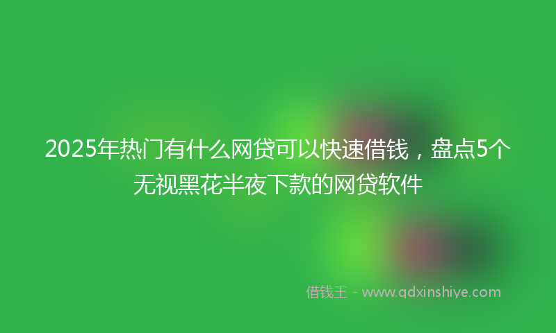 2025年热门有什么网贷可以快速借钱，盘点5个无视黑花半夜下款的网贷软件