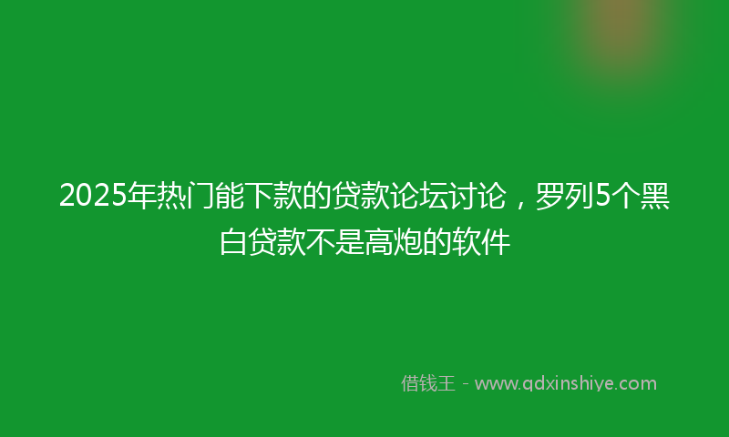 2025年热门能下款的贷款论坛讨论，罗列5个黑白贷款不是高炮的软件