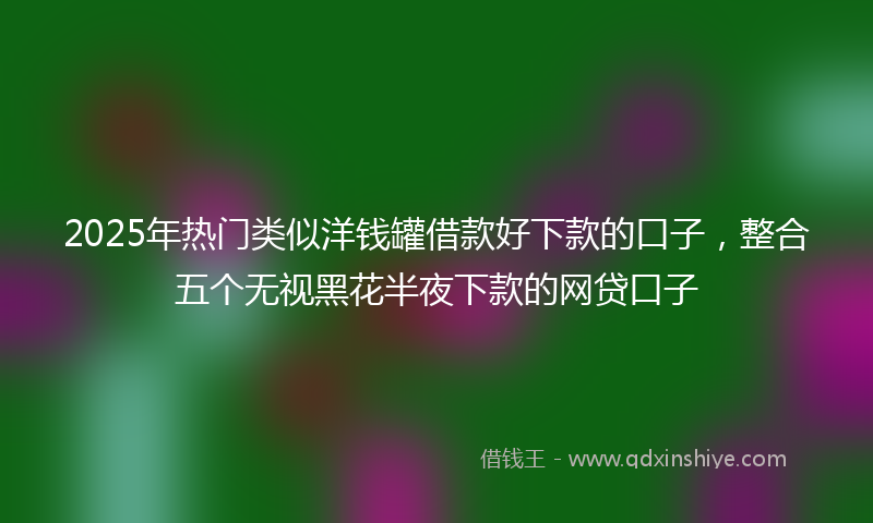 2025年热门类似洋钱罐借款好下款的口子，整合五个无视黑花半夜下款的网贷口子