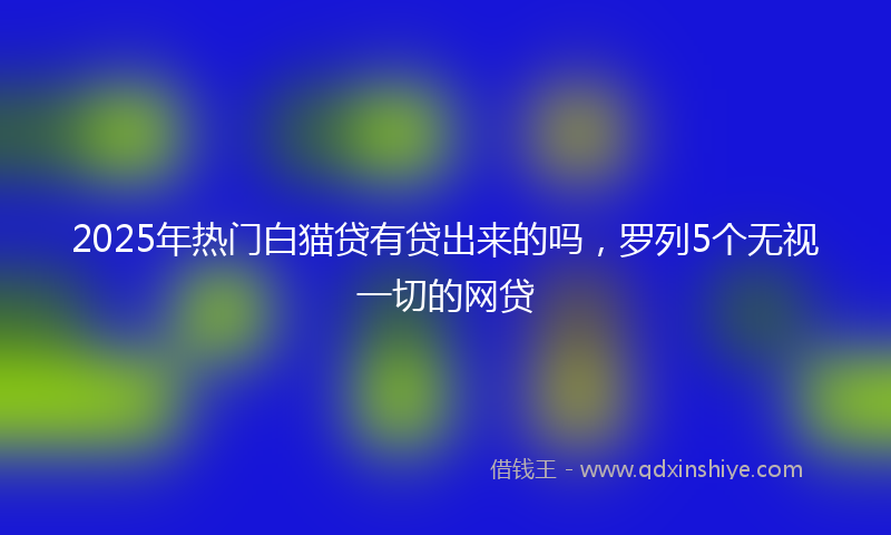 2025年热门白猫贷有贷出来的吗，罗列5个无视一切的网贷