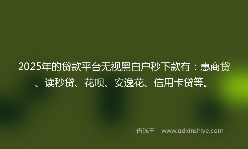 2025年的贷款平台无视黑白户秒下款有：惠商贷、读秒贷、花呗、安逸花、信用卡贷等。