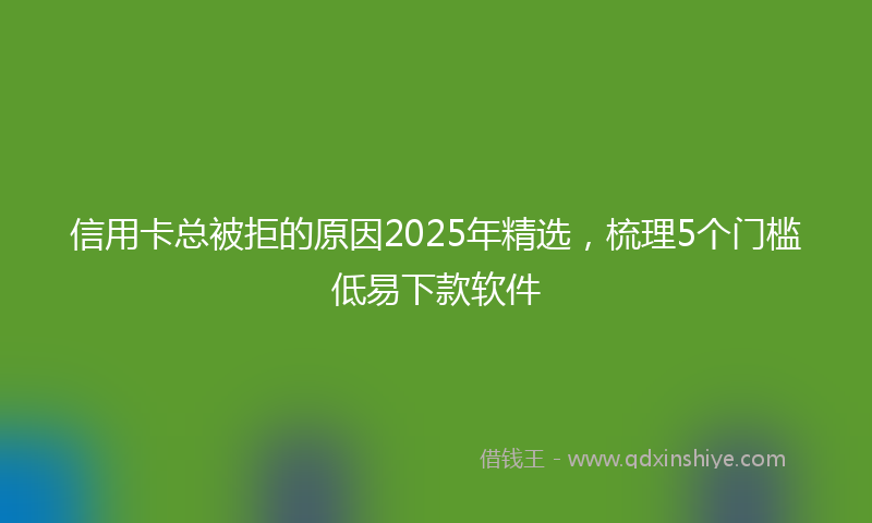 信用卡总被拒的原因2025年精选,梳理5个门槛低易下款软件