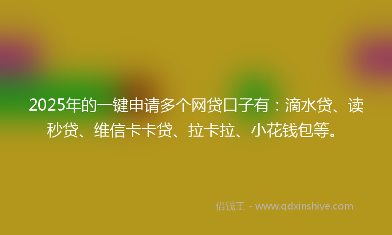 2025年的一键申请多个网贷口子有：滴水贷、读秒贷、维信卡卡贷、拉卡拉、小花钱包等。