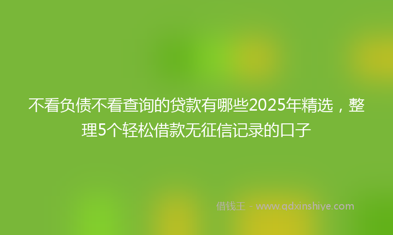 不看负债不看查询的贷款有哪些2025年精选，整理5个轻松借款无征信记录的口子
