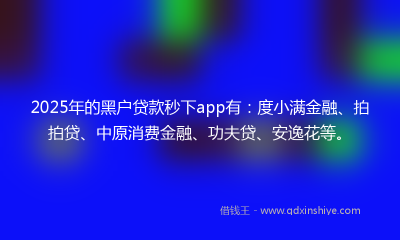 2025年的黑户贷款秒下app有：度小满金融、拍拍贷、中原消费金融、功夫贷、安逸花等。