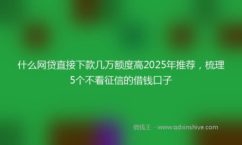 什么网贷直接下款几万额度高2025年推荐，梳理5个不看征信的借钱口子