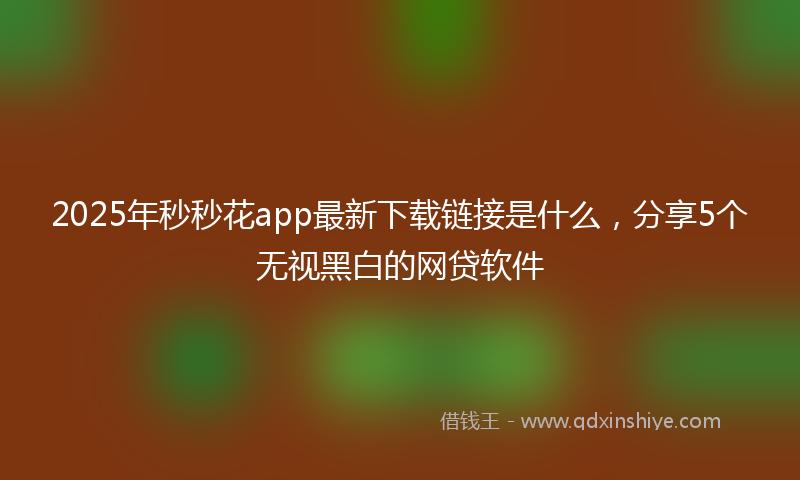 2025年秒秒花app最新下载链接是什么，分享5个无视黑白的网贷软件