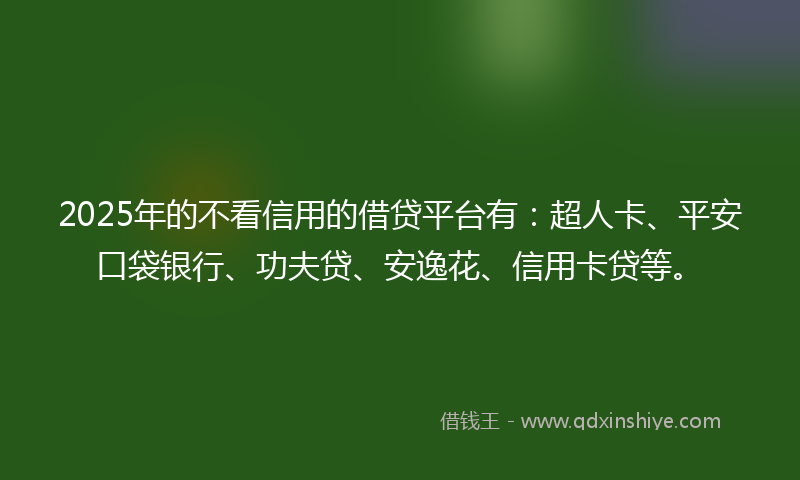 2025年的不看信用的借贷平台有：超人卡、平安口袋银行、功夫贷、安逸花、信用卡贷等。